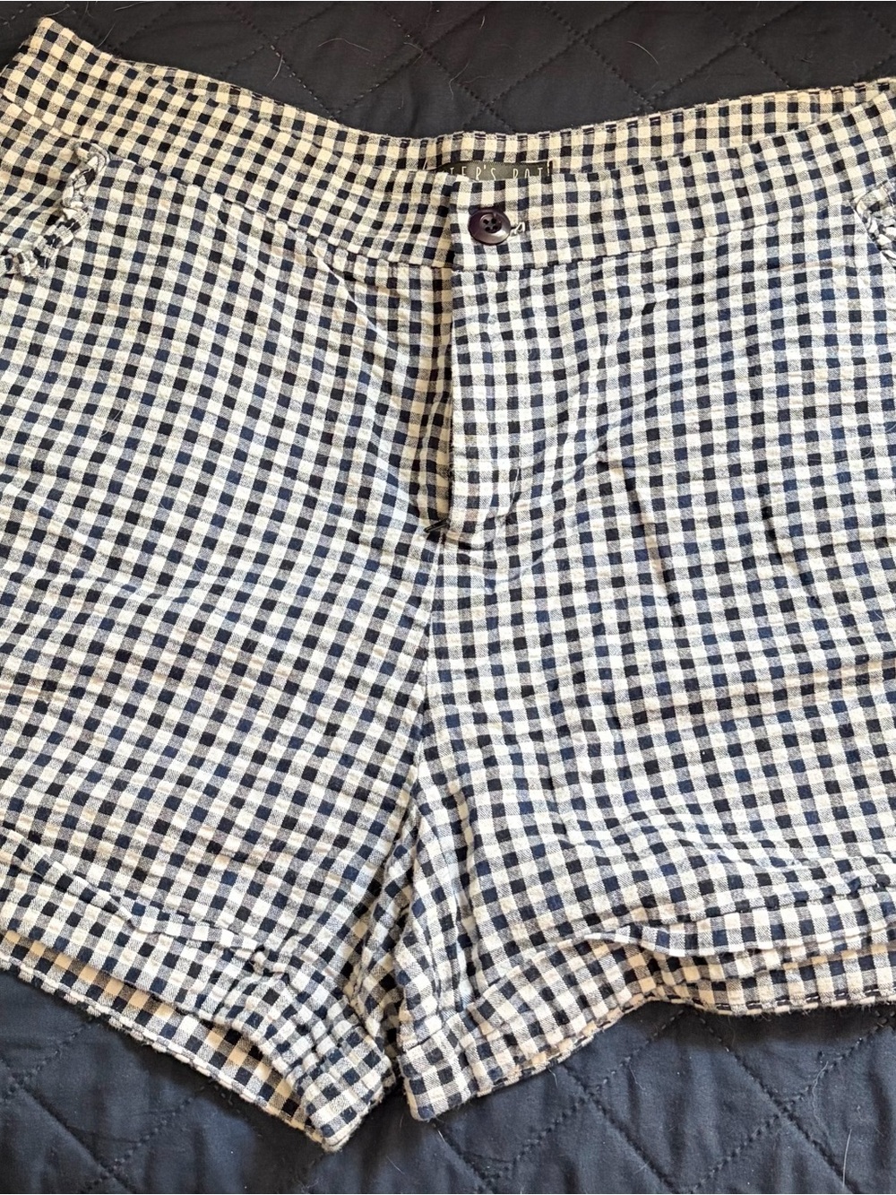 Potter's Pot Navy and White Gingham High-Waist Shorts